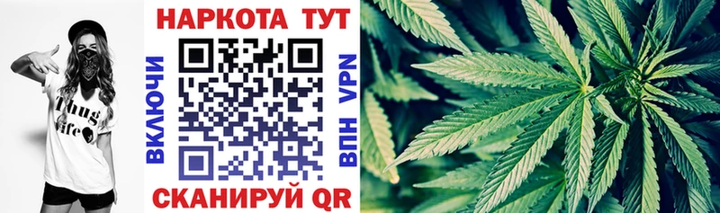 Где продают наркотики Приморско-Ахтарск Канабис  Псилоцибиновые грибы  А ПВП  omg ссылка  ГАШИШ  Кокаин  МЕФ 