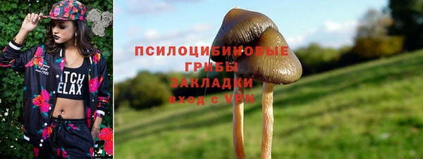 прущий лед Аркадак