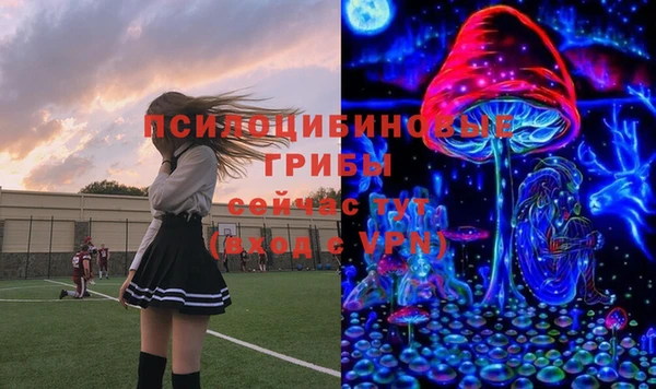 прущий лед Аркадак
