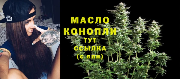 стаф Арсеньев