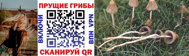 Галлюциногенные грибы Magic Shrooms Приморско-Ахтарск